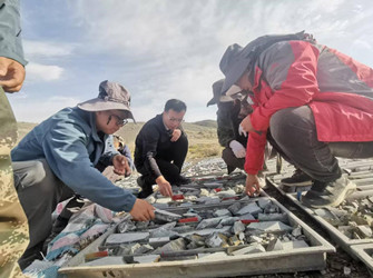 聚焦找礦突破 嚴(yán)控項(xiàng)目質(zhì)量  大隊(duì)總工程師深入野外一線(xiàn)督導(dǎo)檢查地質(zhì)勘查